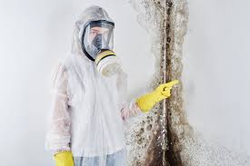 Best Emergency Mold Remediation  in Port Washington, NY